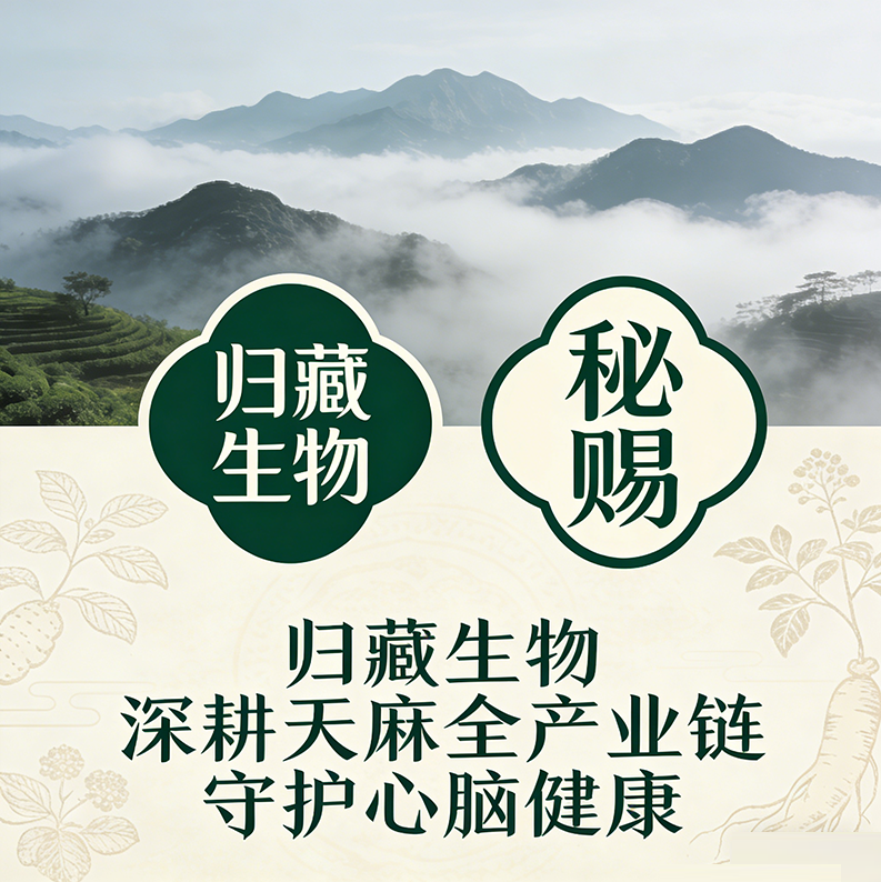 归藏生物：深耕天麻全产业链 以本草智慧赋能全民健康生活