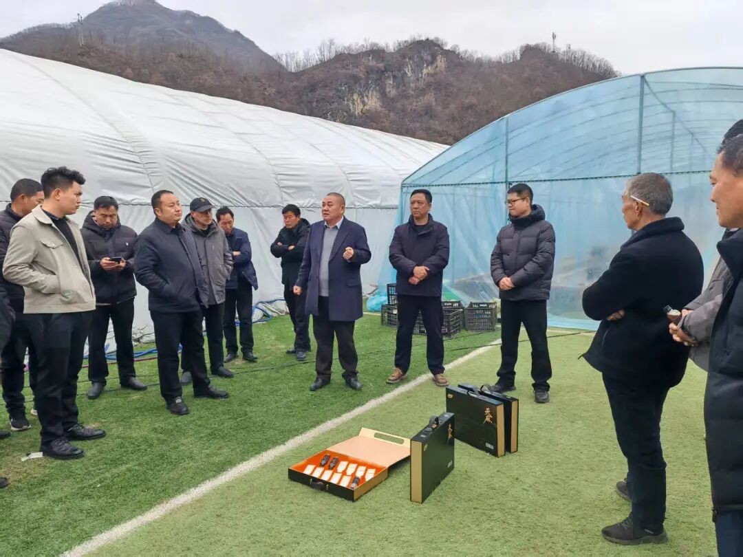 带起新节奏&middot;跑出加速度  双龙湾镇：学技赋能促振兴 产业发展启新程