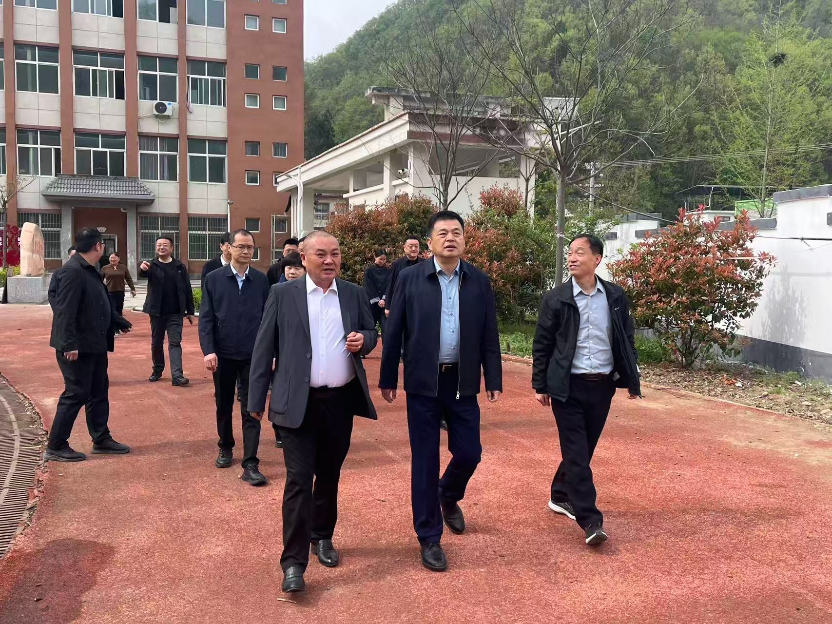 河南省市场监管局佟珩局长调研卢氏清禾生物 指导天麻产业有机认证工作