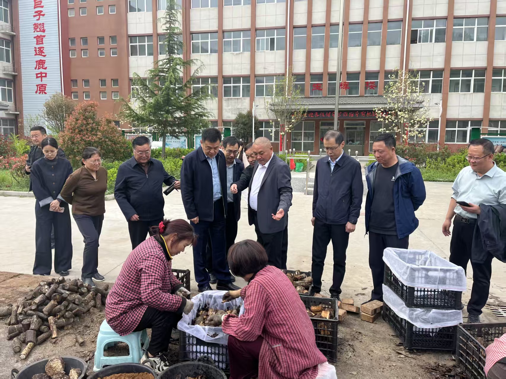 1778461500821343.jpg 微信图片_20260414120947_501_1912.jpg